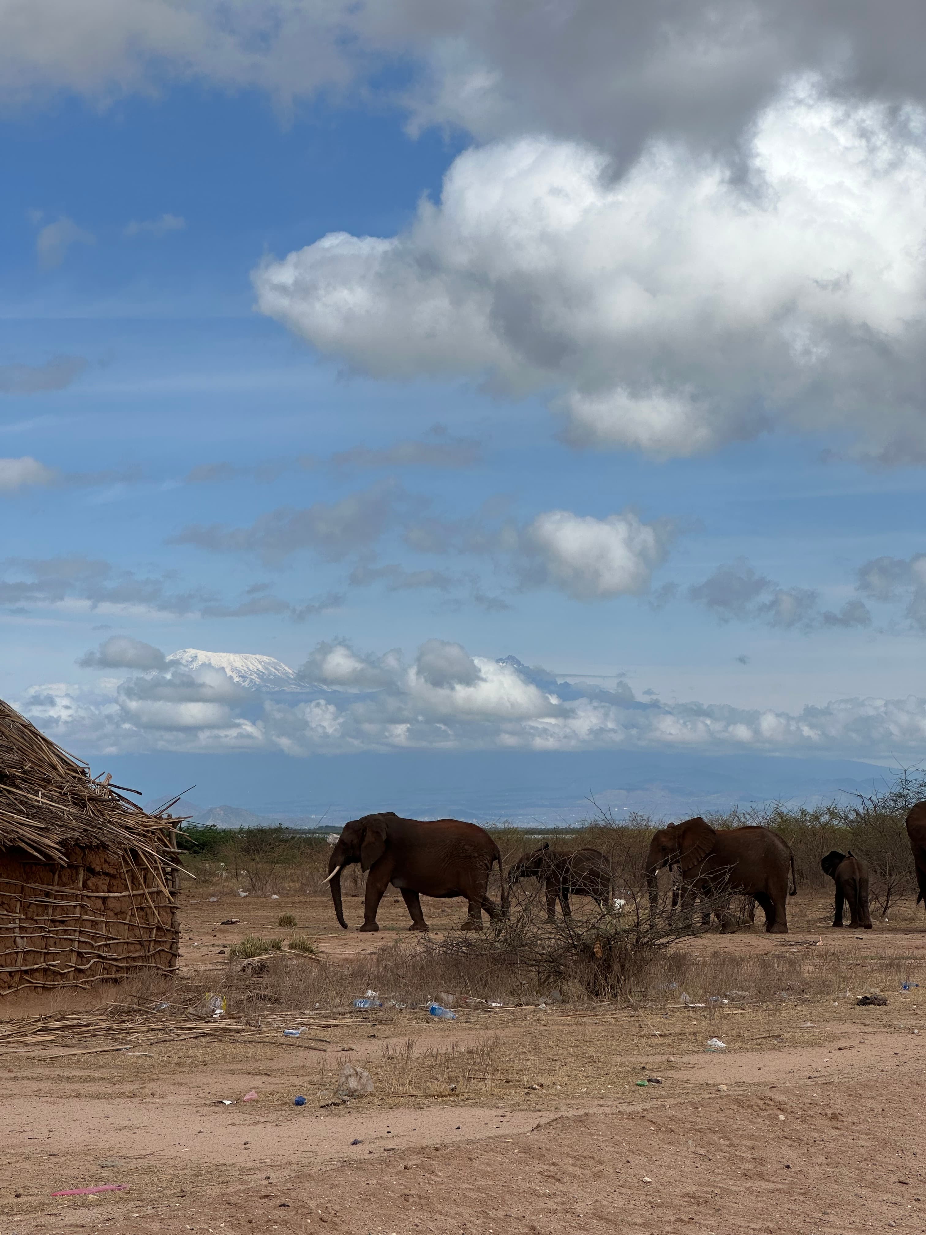 Local wildlife at Maonera Farms Kenya
