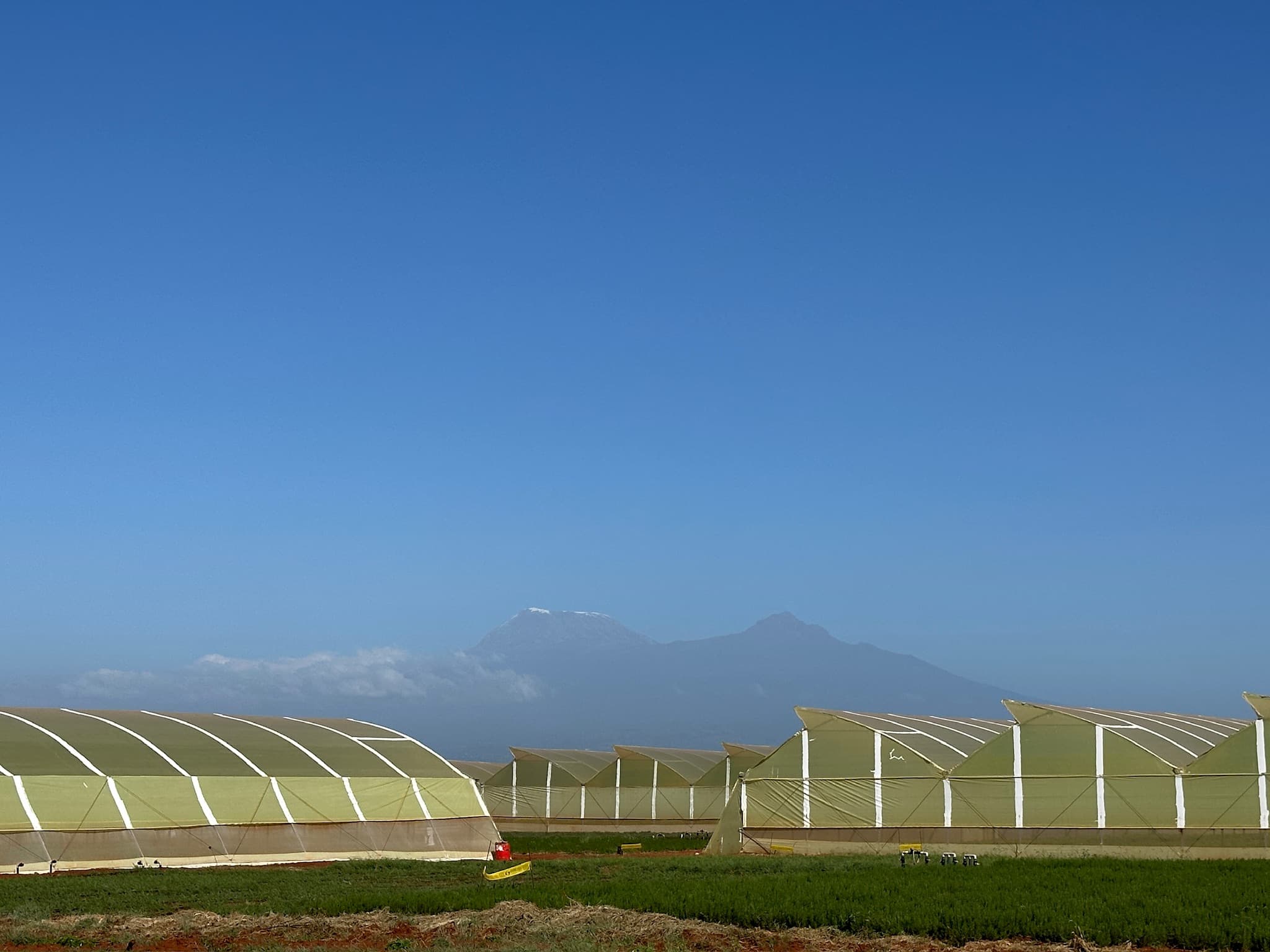 Maonera farm landscape — Taita Taveta, Kenya