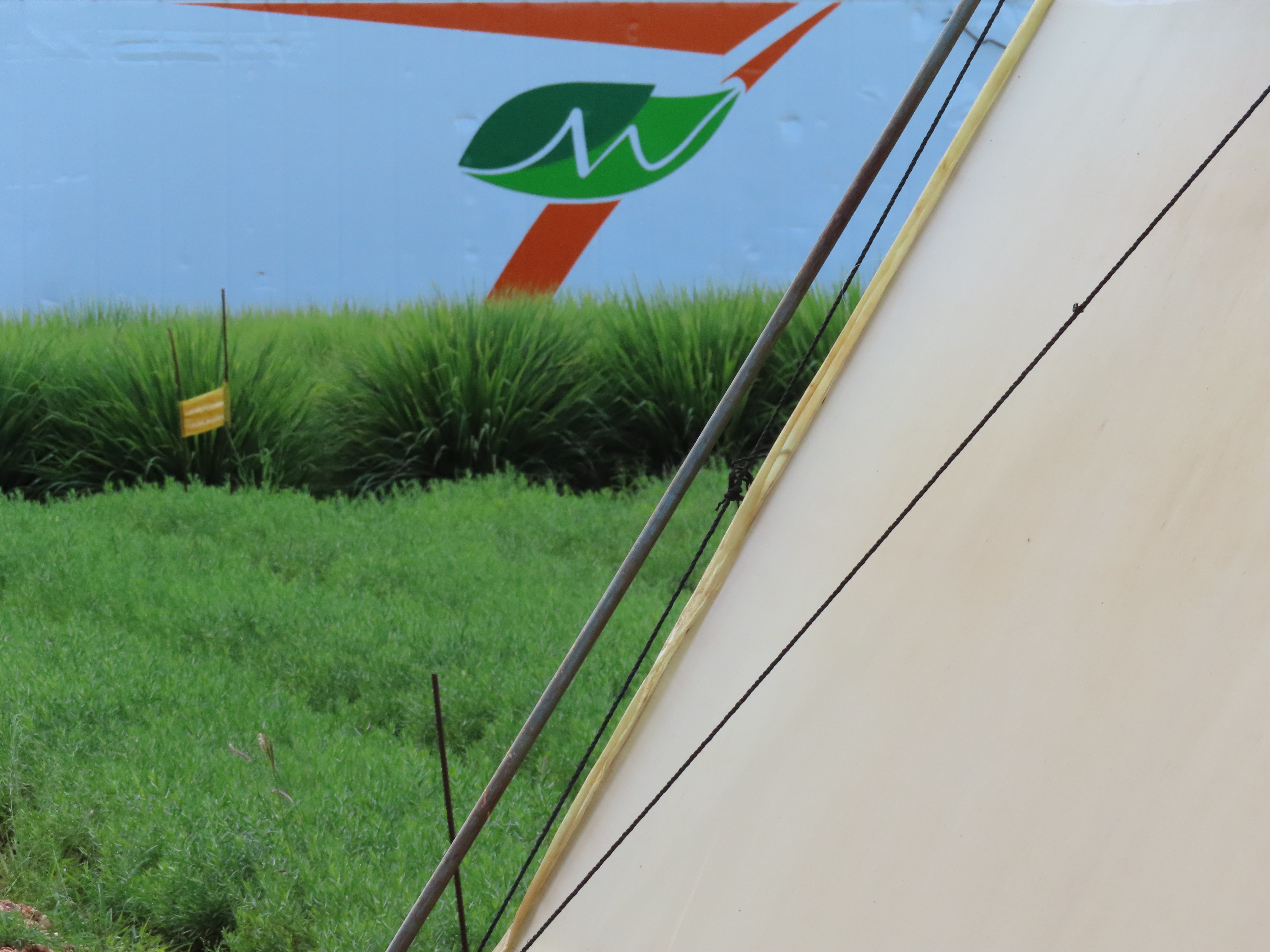 Kenyan cultural heritage at Maonera Farms