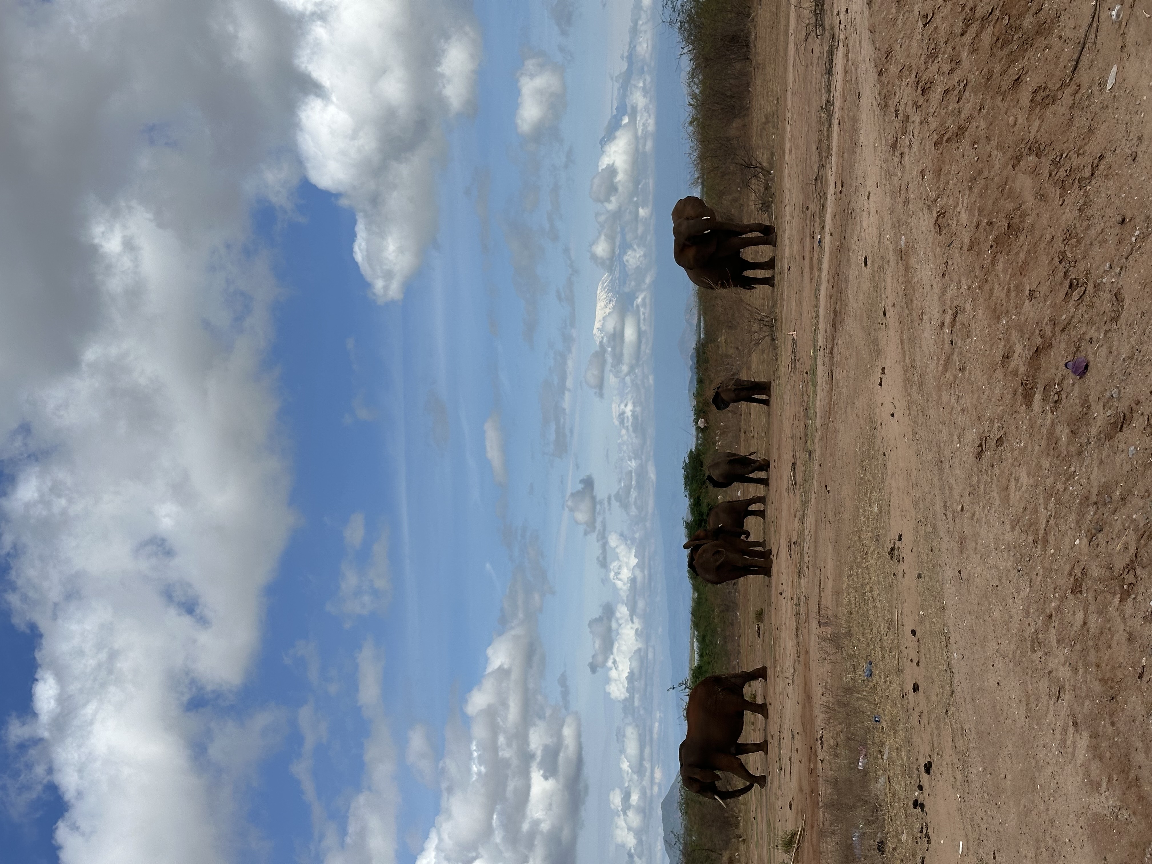 Local wildlife at Maonera Farms Kenya
